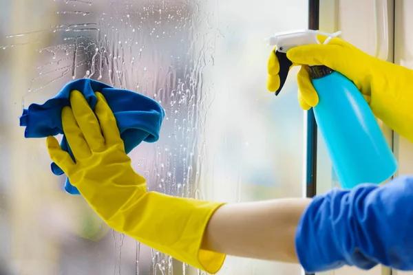 Window Cleaning Mesa That Enhances Your Home Appearance